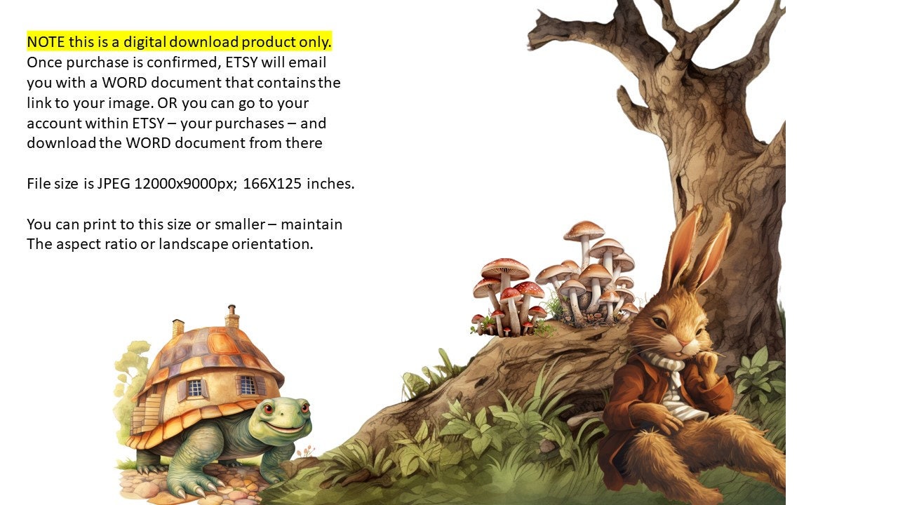 Child's Bedroom Graphic Tortoise and Hare Moral Rhyme