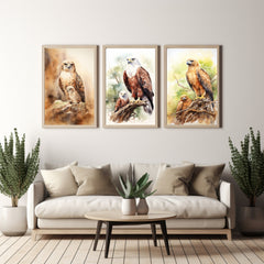 Watercolour Triptych Art Parent And Offspring Birds of Prey