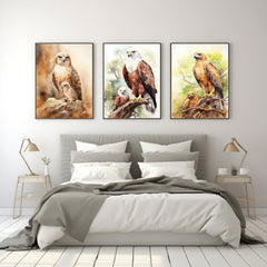 Watercolour Triptych Art Parent And Offspring Birds of Prey