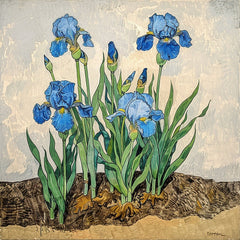 TWELVE Blue Iris Flowers Digital Art, 12 Square Large Artwork Prints, Beautiful Floral Wall Decor, Irises Botanical Illustration