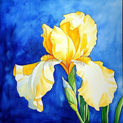 13 Iris Flower Large Square Artwork Poster, Digital Wall Art, Yellow and White Flower Print, Botanical Wall Decor, Home Office Art
