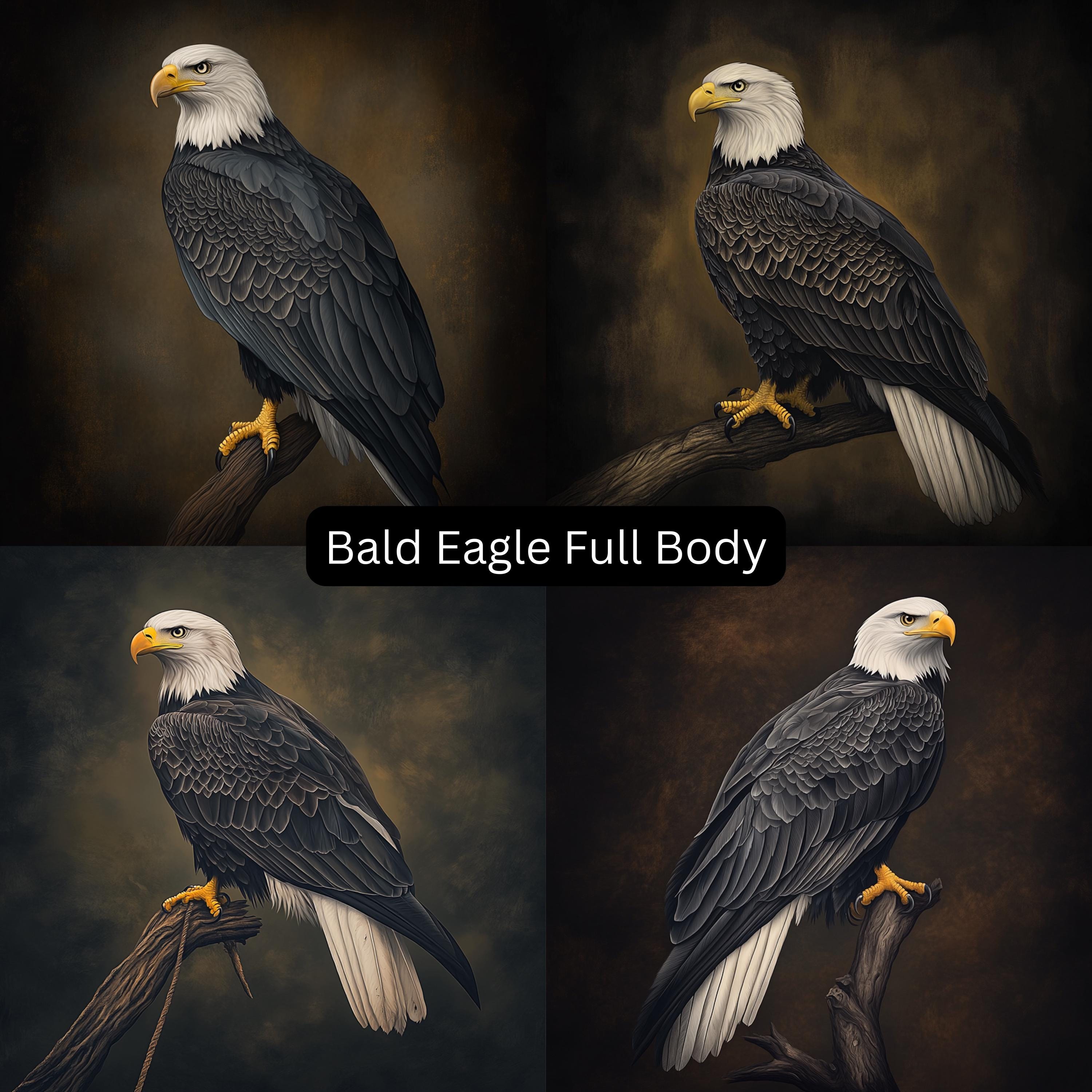 12 Bald Eagle Digital Art Bundle Birds of Prey Prints for POD Sublimation DIY Decor Patriotic Gift For Ornithologist Wildlife Printable Set
