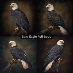 12 Bald Eagle Digital Art Bundle Birds of Prey Prints for POD Sublimation DIY Decor Patriotic Gift For Ornithologist Wildlife Printable Set