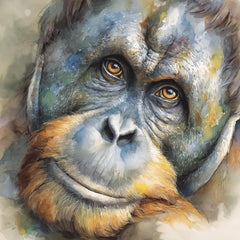 14 Watercolor Orangutan Family Clipart, Baby Orangutan Art for Sublimation, Cute Jungle Animal DIY Prints, Mum Dad Giftable PNG Set