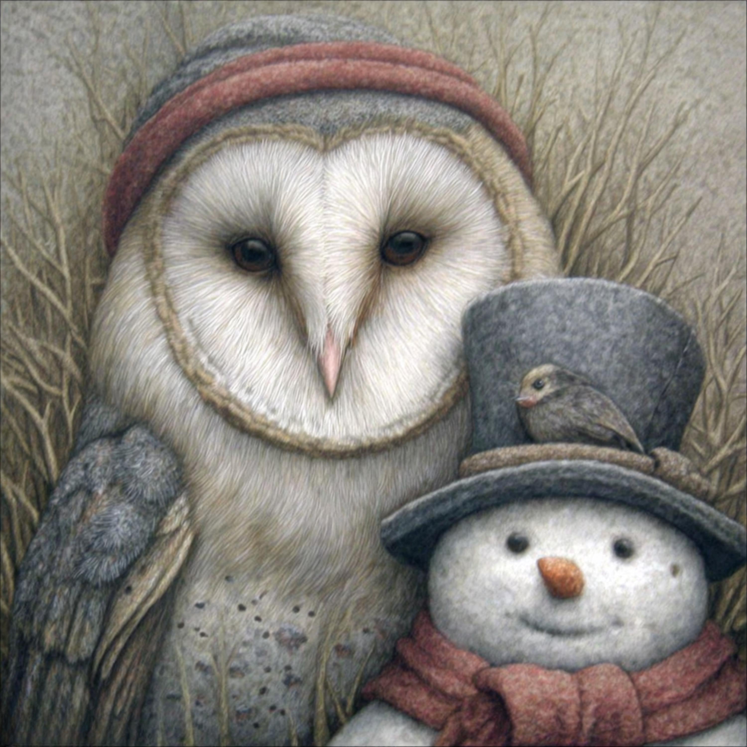 15 Christmas Owl Wall Art, Cozy Woodland Owl Digital Prints for DIY Holiday Decor, Winter Sublimation Crafts & Festive Printable Gifts