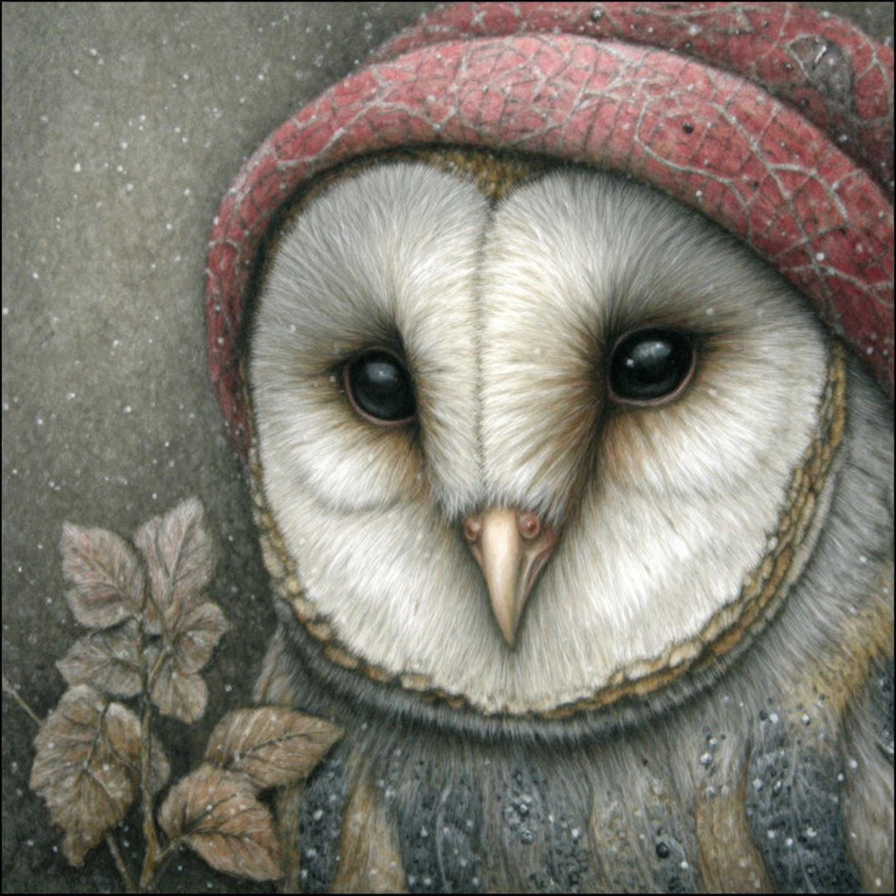 15 Christmas Owl Wall Art, Cozy Woodland Owl Digital Prints for DIY Holiday Decor, Winter Sublimation Crafts & Festive Printable Gifts